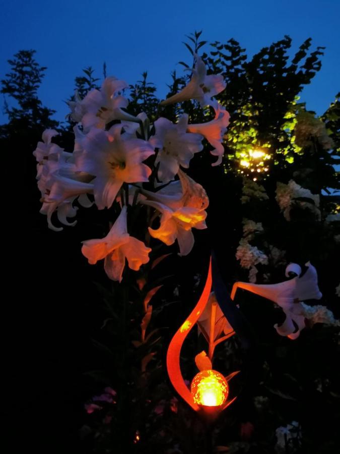 Ferienwohnungen Thalmeier Sankt Gilgen Eksteriør billede
